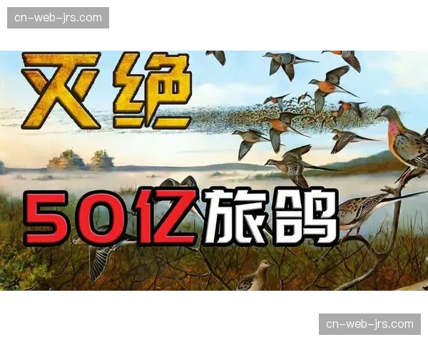 重建球队资产囤积模式成型 选秀权经济学催生动态竞争平衡